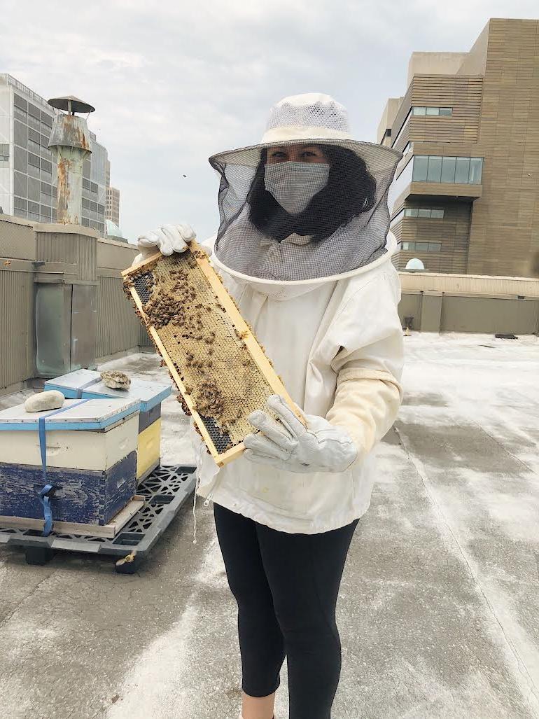 梅丽莎·弗洛雷斯