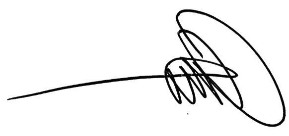 AmyVeltman_signature (1)