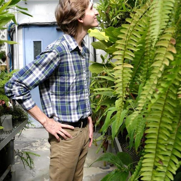 White man in a greenhouse with lots of ferns